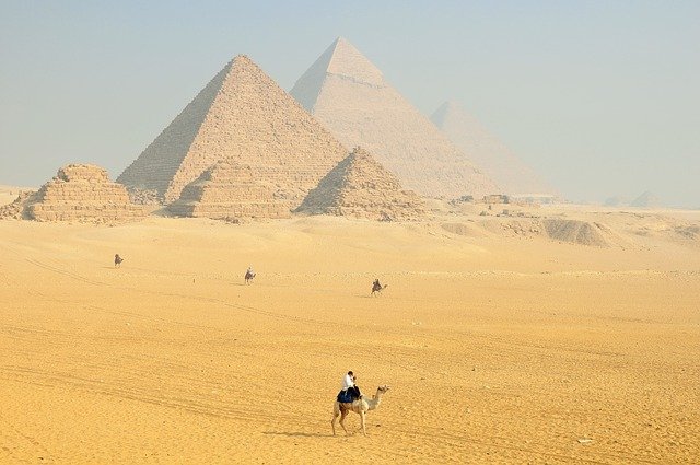 velbloud u pyramid